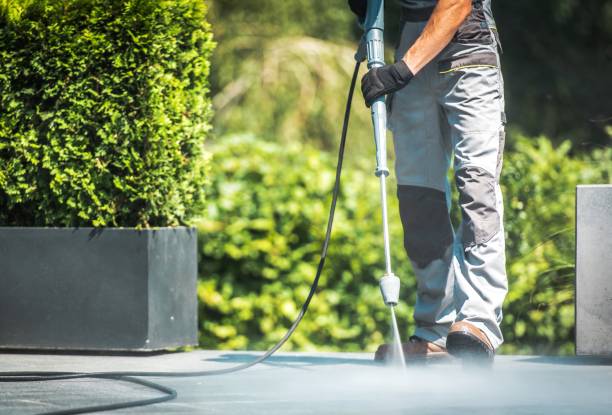 Best Soft Washing  in Plainwell, MI